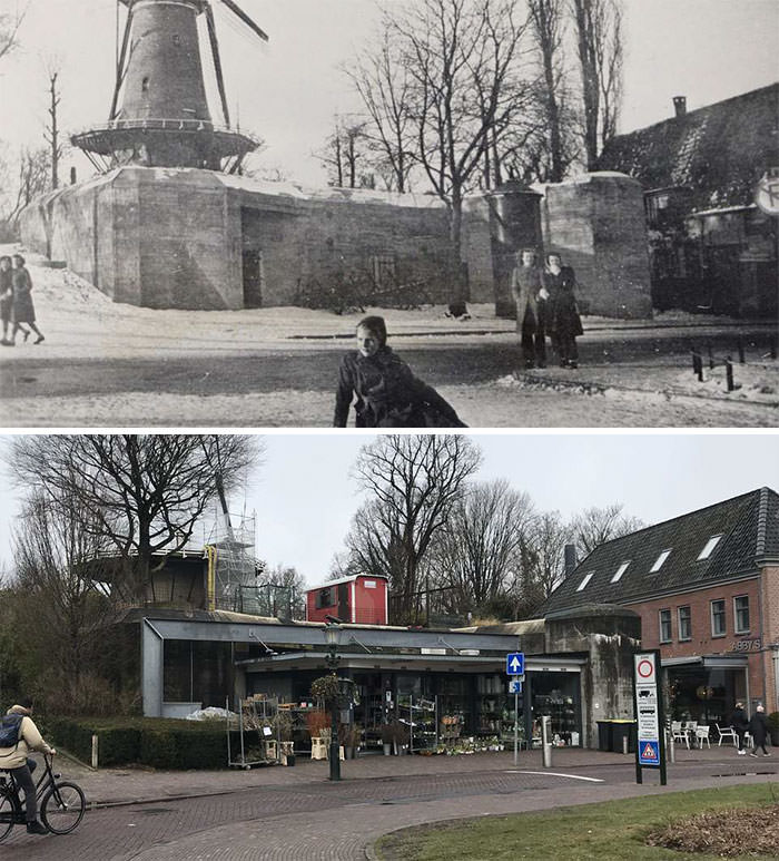 Old Bunker Alkmaar Flower Shop