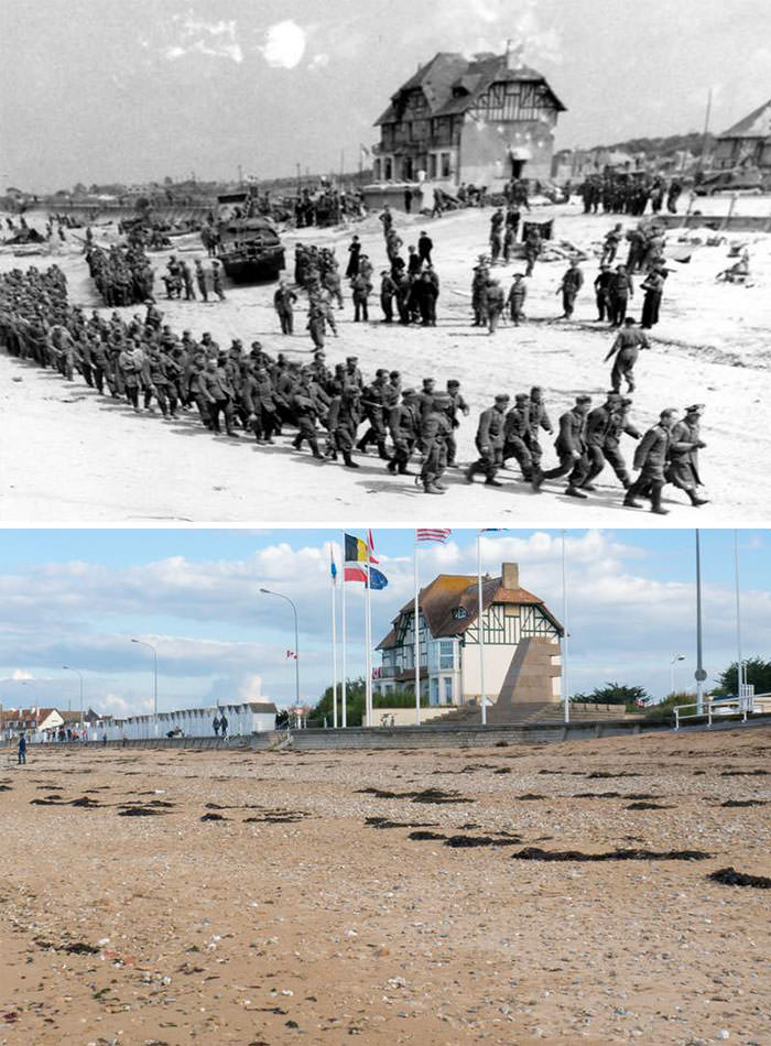 Captured German Soldiers At Juno Beach