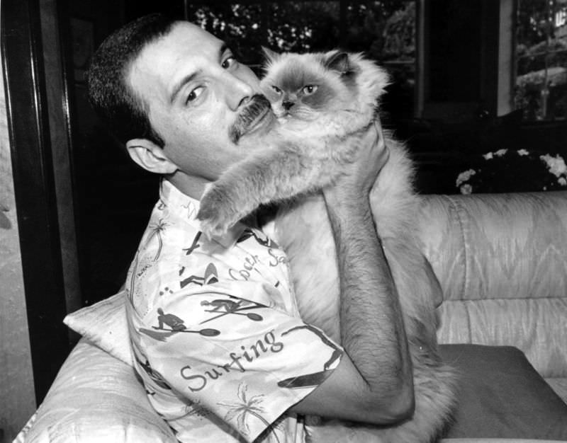 Freddie Mercury with his cat, 'Tiffany,' 1986.