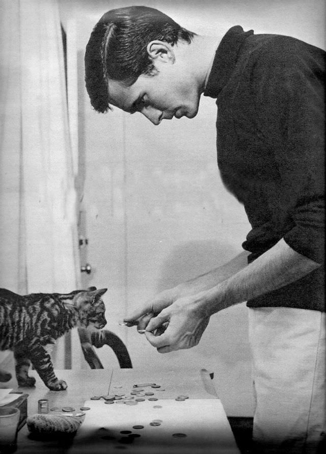 Anthony Perkins playing with a kitty, 1958