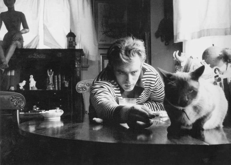 James Dean with his cat, 'Marcus,' a gift from Elizabeth Taylor, 1955