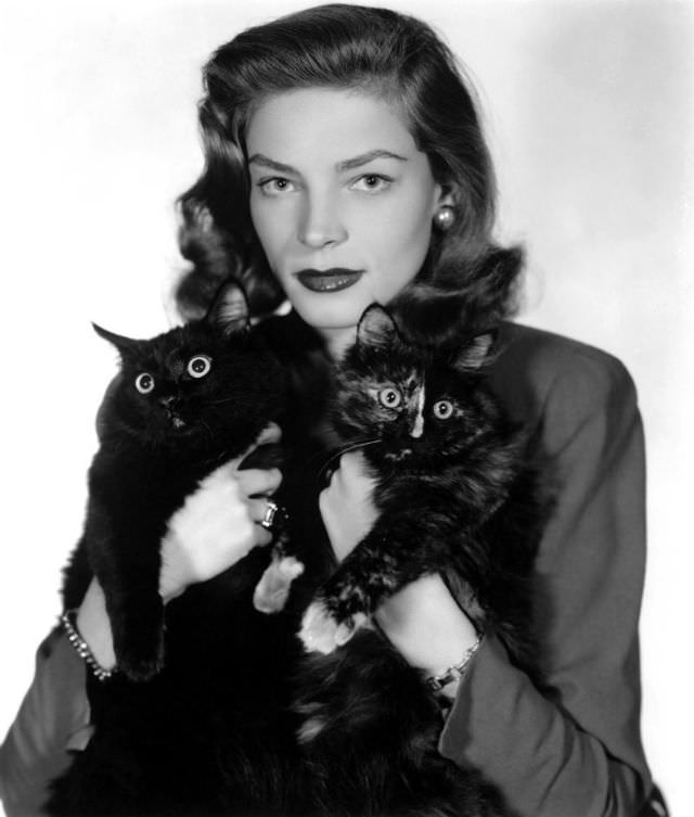 Lauren Bacall poses with two wide-eyed cats, 1940s