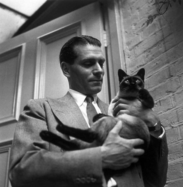 Laurence Olivier with the family cat 'New' at home at Chelsea, London, 1946
