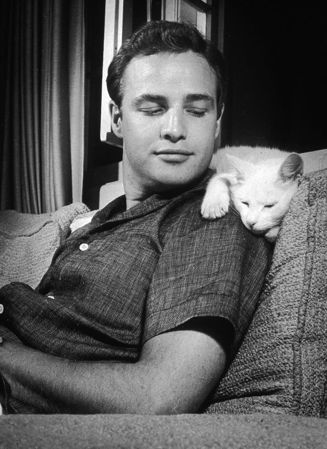 Marlon Brando leans back on a sofa and smiles at a cat, who lays across his shoulders, at his home in Los Angeles, California, 1954
