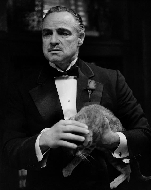 Marlon Brando in costume as 'Don Vito Corleone' as he holds a cat on the set of the film 'The Godfather,' 1972