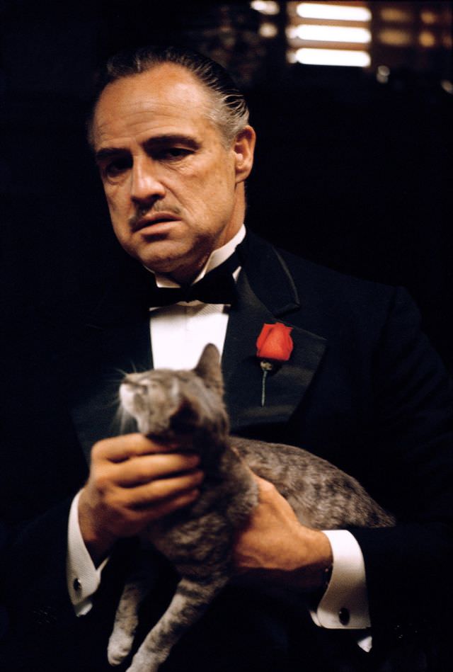 Marlon Brando in costume as 'Don Vito Corleone' as he holds a cat on the set of the film 'The Godfather,' 1972