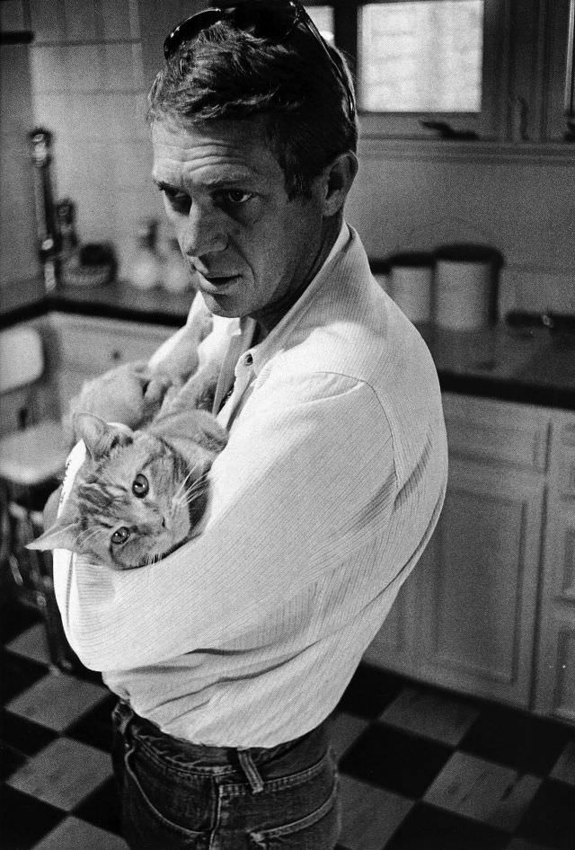 Steve McQueen with his kitty cat, 1963