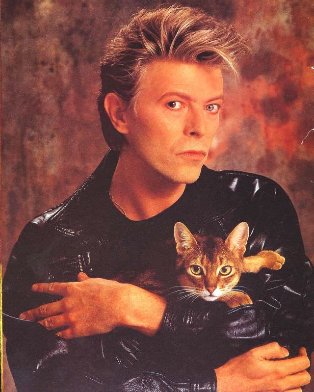 David Bowie with his cat