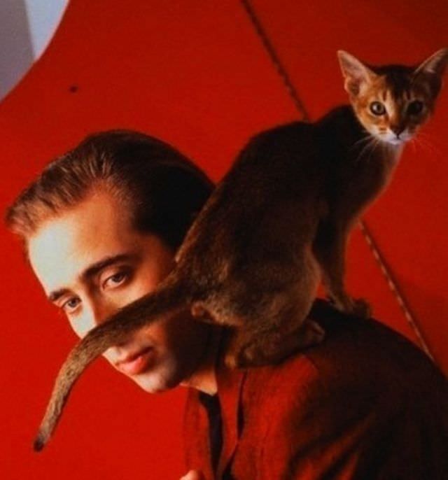 Nicolas Cage with his cat