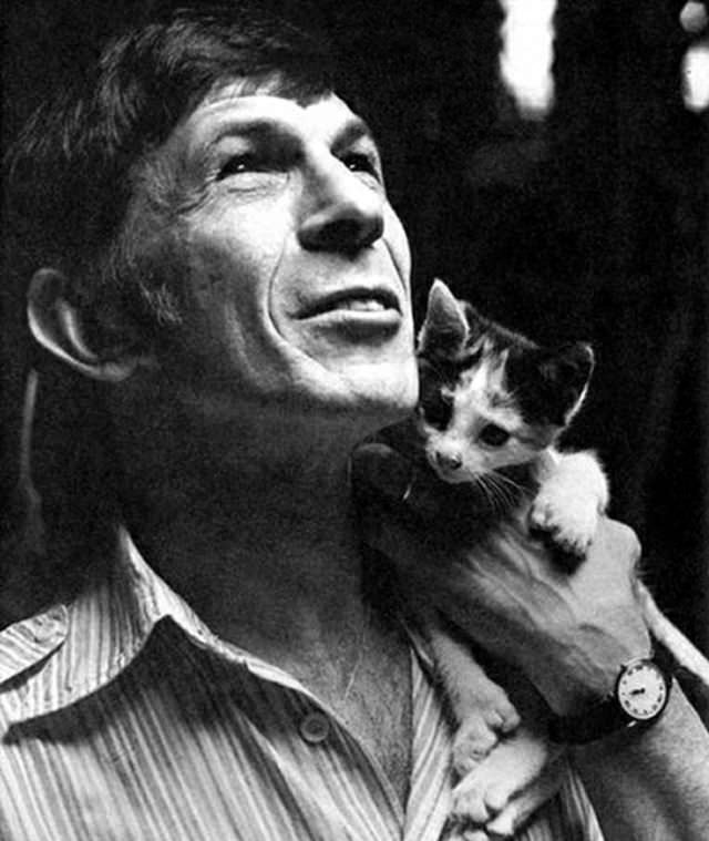 Leonard Nimoy and a kitten