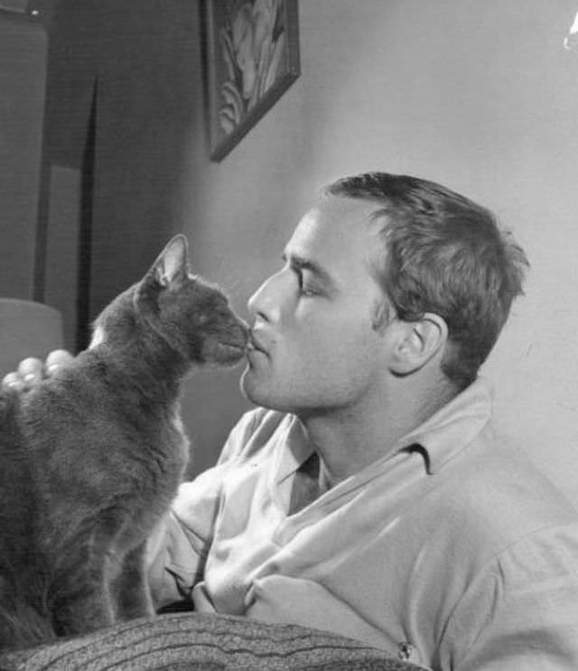 Marlon Brando kissing his cat