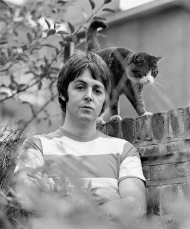 Paul McCartney with his cat