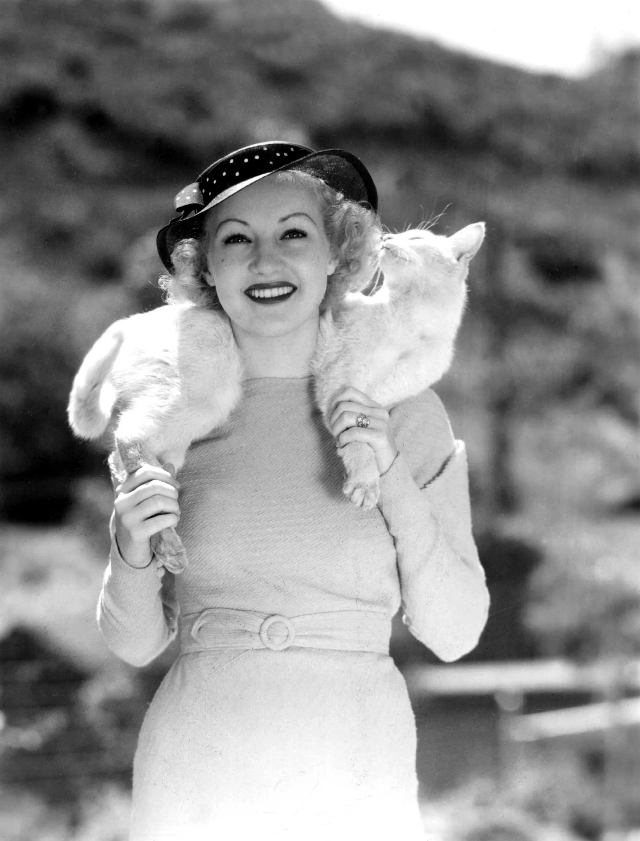 Betty Grable wearing her pet cat, 'Whitney,' around her neck like a fur scarf, 1935