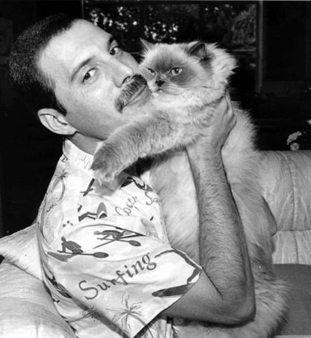 Freddie Mercury and his cat