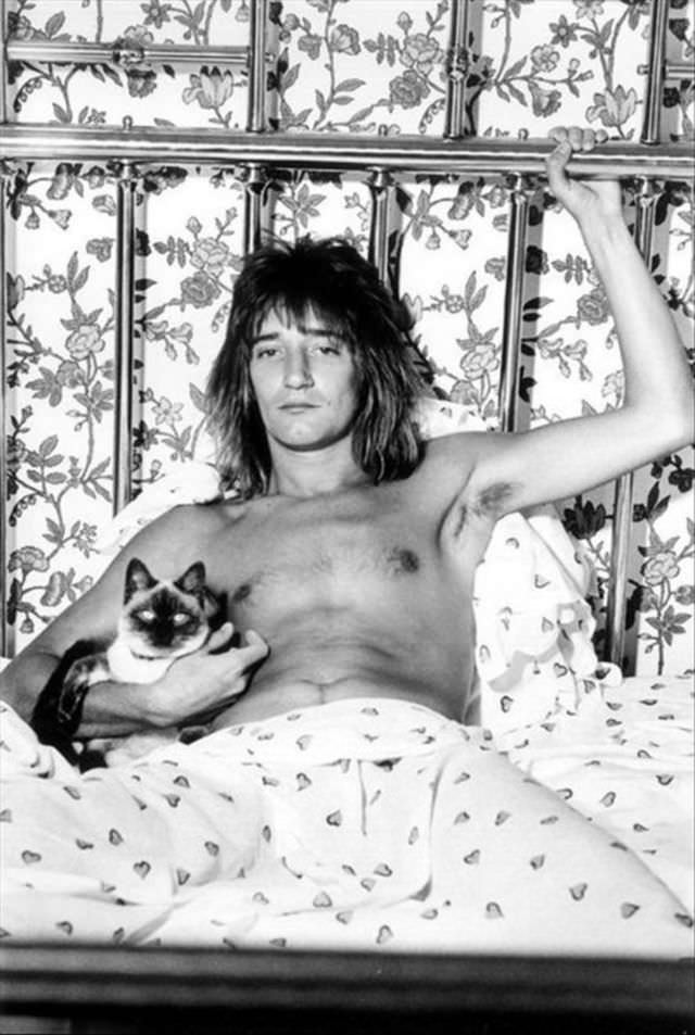 Rod Stewart and his cat