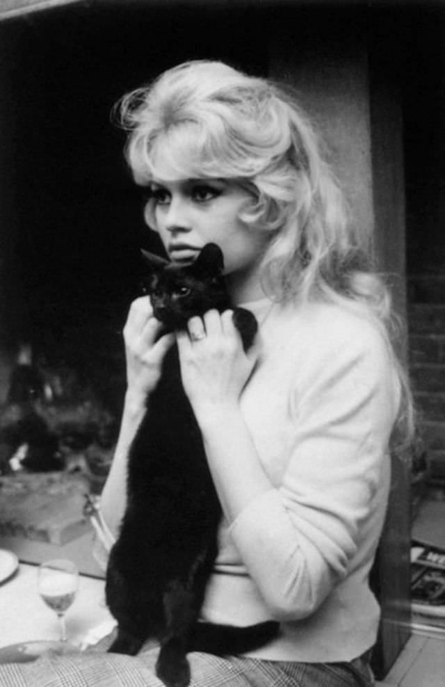 Brigitte Bardot holding her cat up, 1959