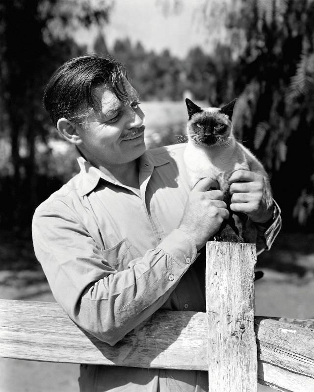Clark Gable poses with one of the cats that lived on his 22-acre ranch in the San Fernando Valley, 1945