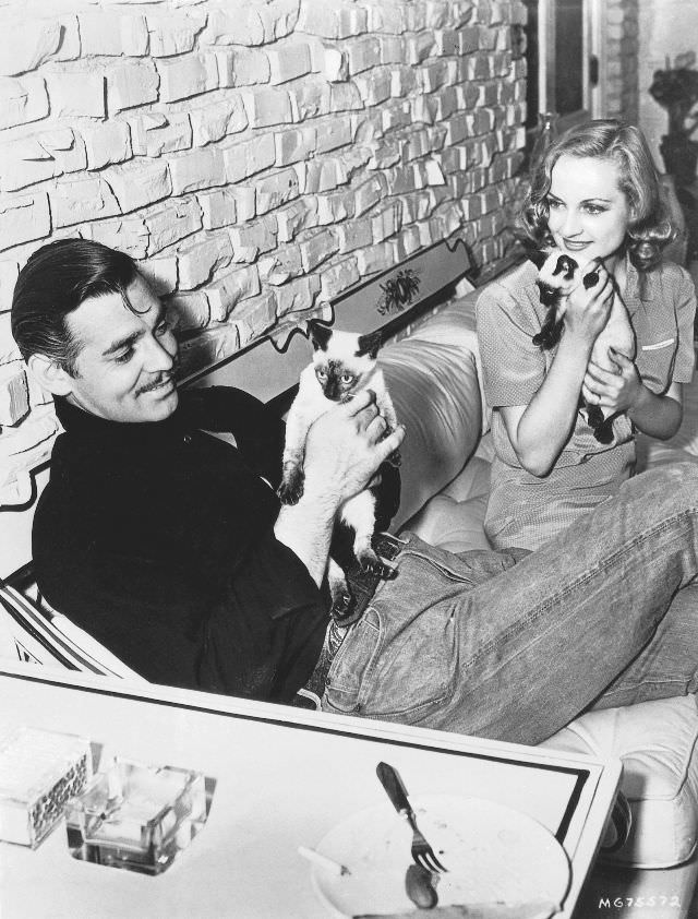 Clark Gable and Carole Lombard with two Siamese siblings at their home in the San Fernando Valley, 1940