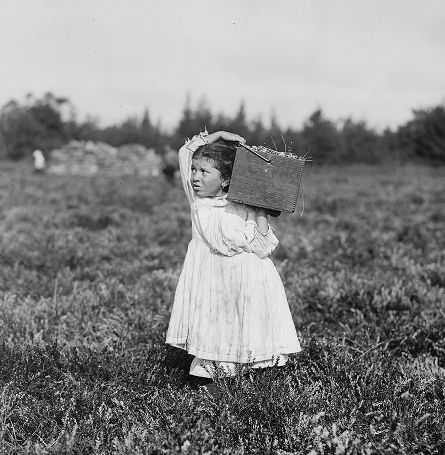 Eight-year-old, Jennie Camillo, lives in west Manayunk, pa. For this summer she has picked cranberries. Location: pemberton, New Jersey