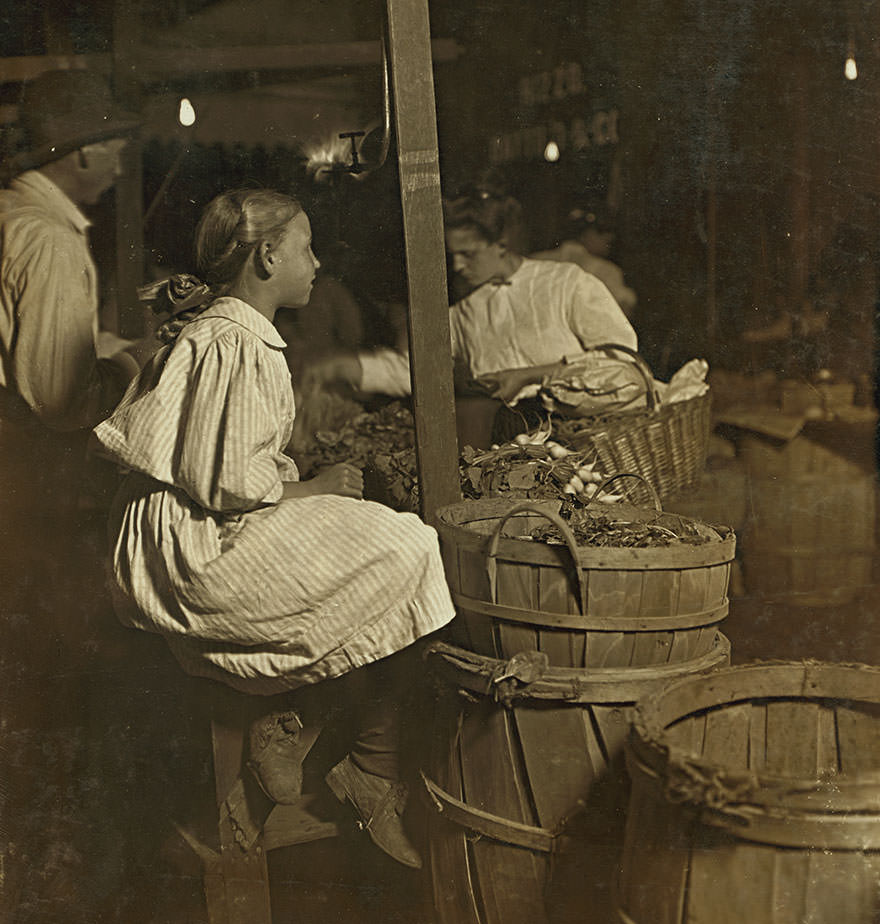 “Radishes! Penny a bunch!” Sixth St. Market, Cincinnati. 10 p.m. Saturday. Boys and girls sell all day, and until 11 p.m. Aug.22, 1908. Location: Cincinnati, Ohio