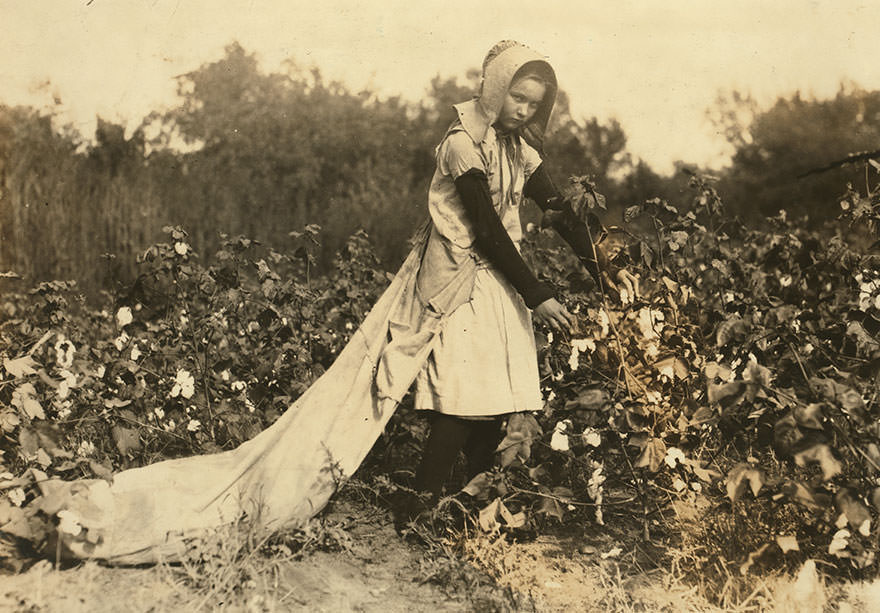 Callie Campbell, 11 years old, picks 75 to 125 pounds of cotton a day, and totes 50 pounds of it when sack gets full. “no, i don’t like it very much.” Location: [Pottawattamie county, Oklahoma]
