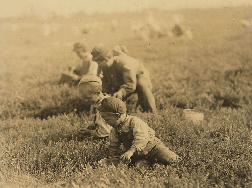 Arnao family, whole family works. Jo is 3 years old. Boy is 6 years old, girl is 9 years old. May 28th 1910, before school closed. Location: Browns mills, New jersey.