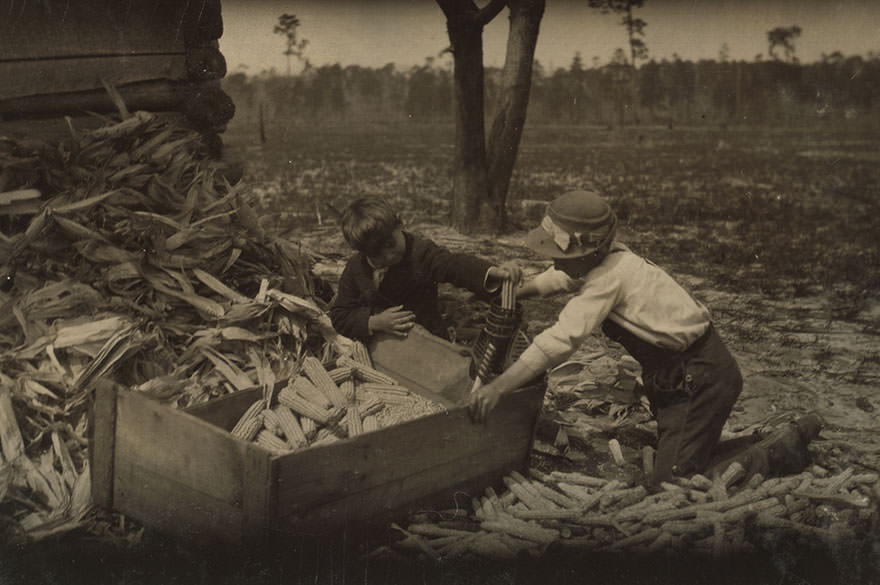 Children thrashing corn during school hours on a farm near Dublin. Many such light occupations fall to the lot of the Georgia child. Location: Dublin, Georgia