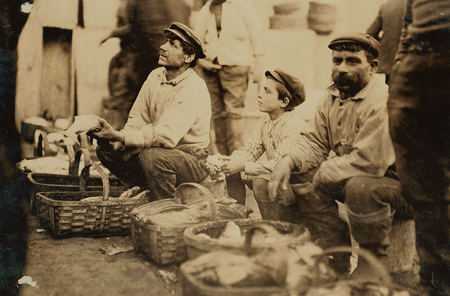 A typical fisher boy at “t” wharf. Boston. Location: Boston, Massachusetts