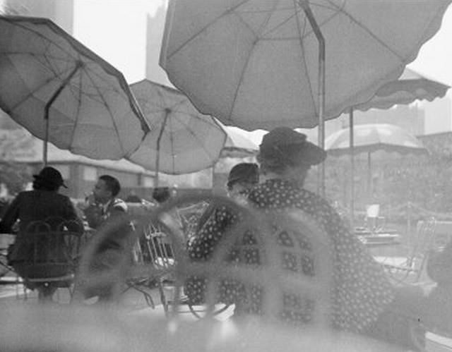 Terrace Restaurant of Central Park Zoo Cafeteria, 64th Street near Central Park West.