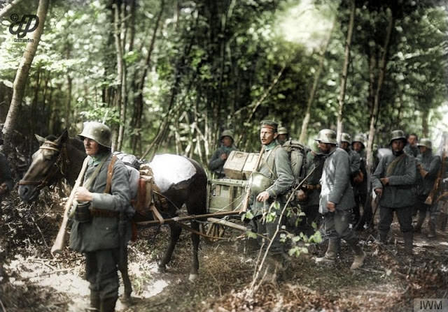 A German mortar section with horse-drawn transport moving through wooded country on the Montdidier - Noyon sector of the front, June 1918