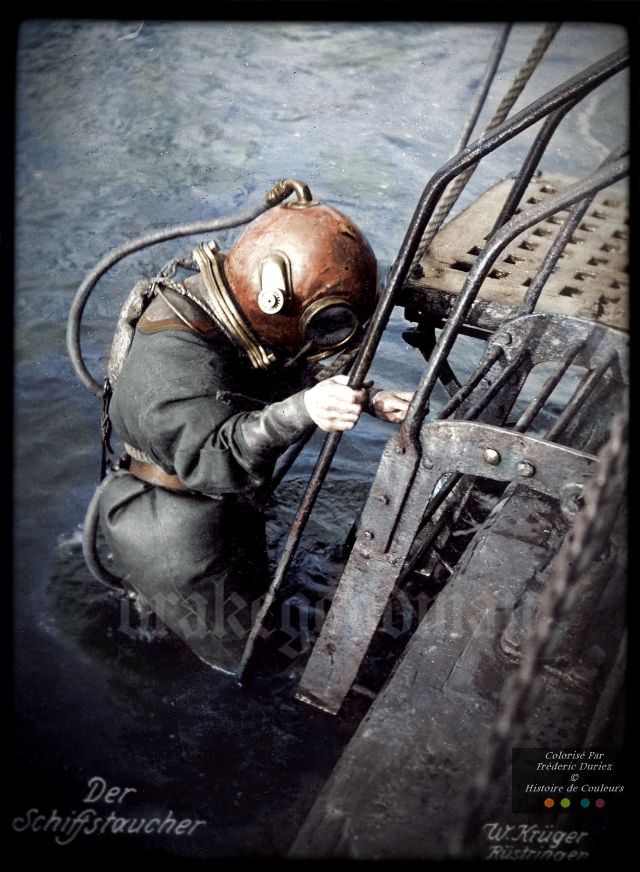 The ship's diver