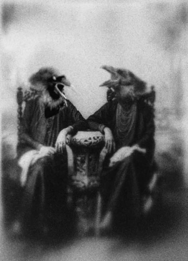 Two women wearing bird headdresses have a chat