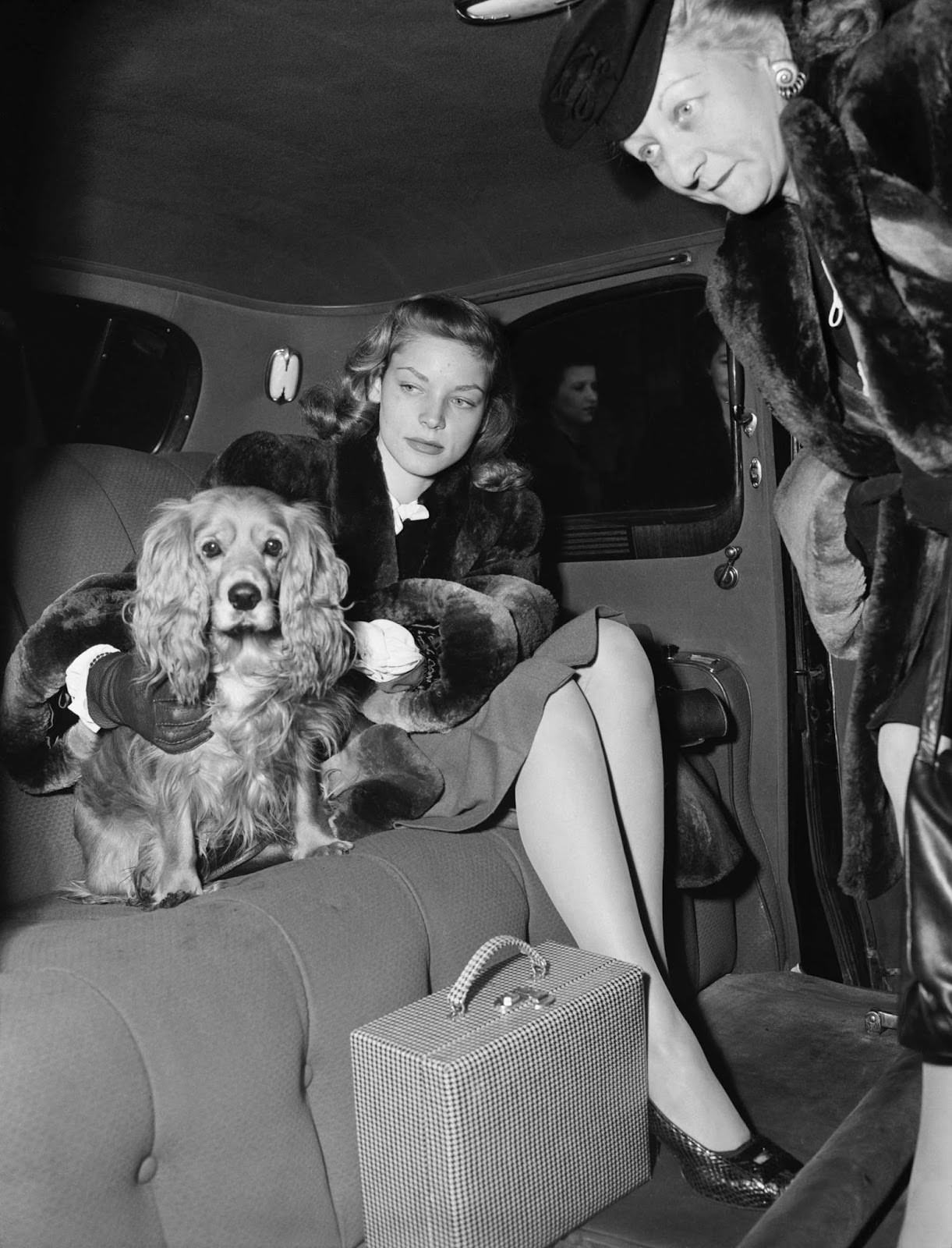 Traveling in style with her dog, 1945.