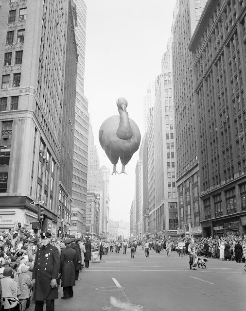 A giant turkey float squeezes between buildings as the 31st annual Macy's Thanksgiving Day Parade moves down Broadway near 37th Street in New York, Nov. 28, 1957.