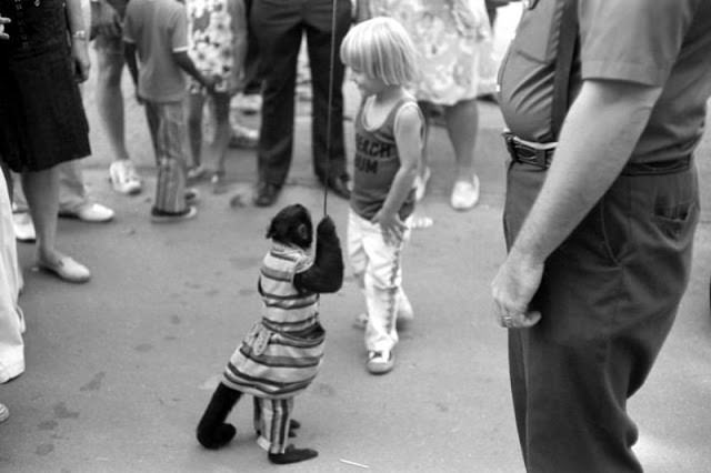 50+ Candid Nostalgic Photos From Michigan State Fair Of 1973