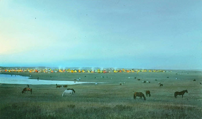 Blackfeet Tribal Camp With Grazing Horses. Montana. Early 1900s. Glass Lantern Slide By Walter Mcclintock