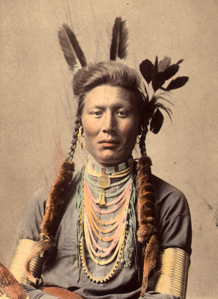 Old Coyote (aka Yellow Dog). Crow. Original Photo Circa 1879 (color Tinted Circa 1910)