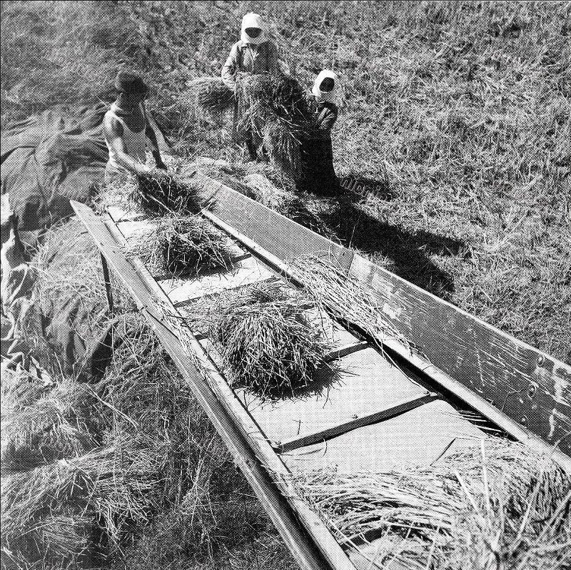 Aluminum rice-making plant, Serres, September 1950