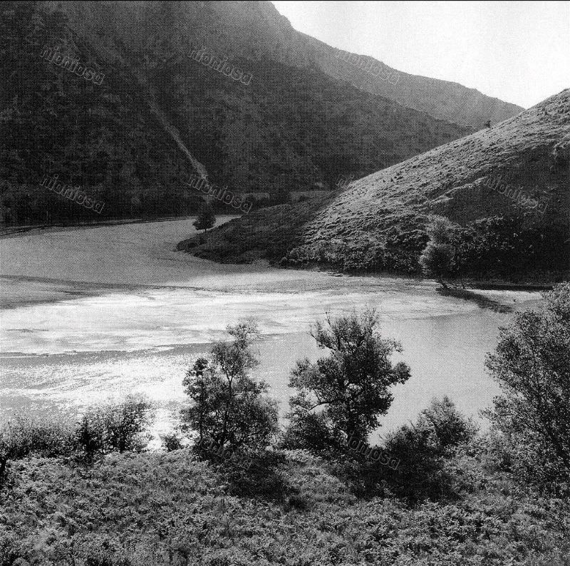 Nestos River, Macedonian-Thracian border, July 1954
