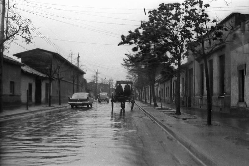 Lira, Santiago, 1962