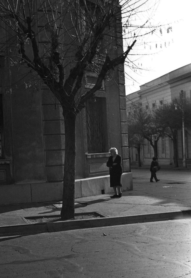 Cold in Bellavista, Santiago, Chile, 1969