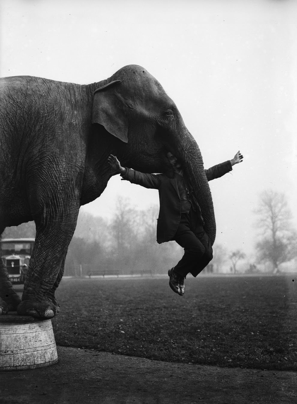 Dixie the elephant from Whipsnade Zoo performs part of her repertoire with her keeper George Braham, 1932