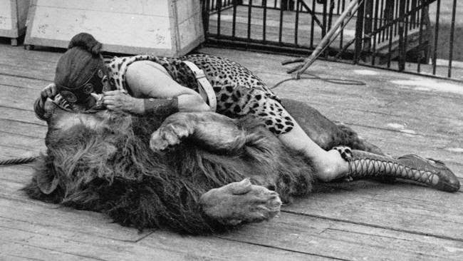 A woman circus performer, dressed in a leopard skin gladiator costume, places her head in a lion's mouth