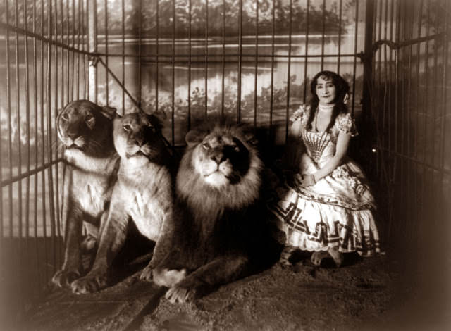 A lady Lion Tamer in 1899