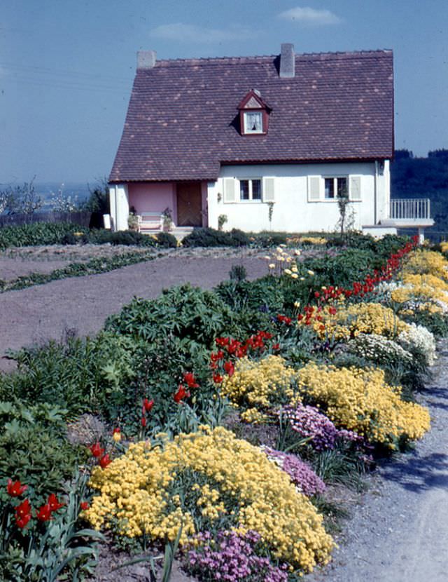 Waldenburg. A small house with spring flowers