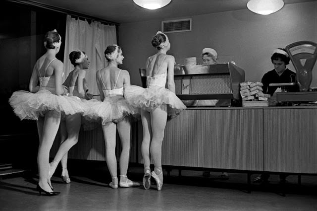 Swans, 1963 - Evgeny Umnov