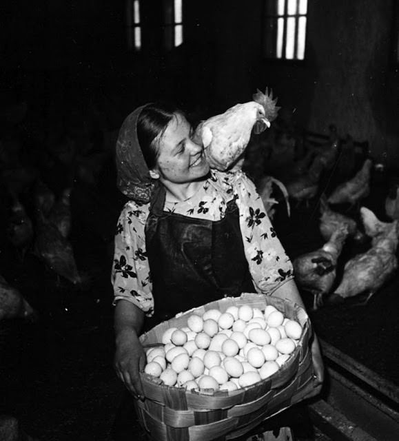 Poultry-maid, Kirovsk, 1950 - Yakov Ryumkin