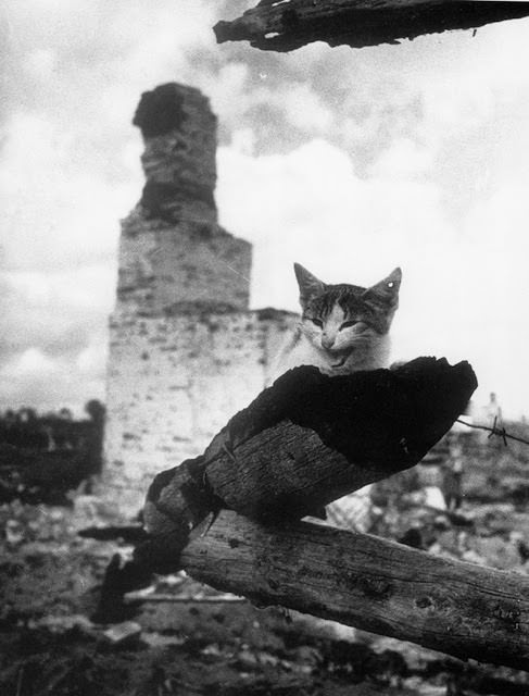 On the ashes, Zhizdra, 1943 - Mikhail Savin