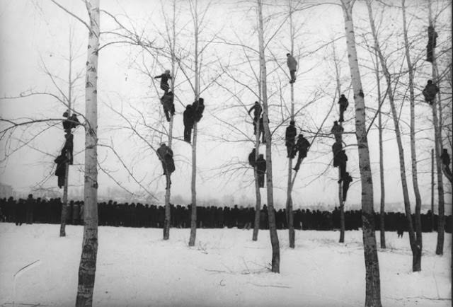 Rooks came, 1964 - Mikola Gnisyuk