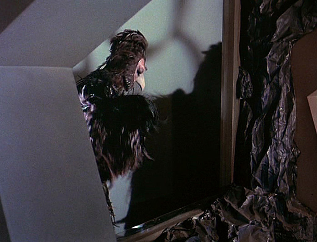 Janos Prohaska, who also played the Mugato and Horta, played the bird like creature in an adjacent cage under the surface of Talos IV in the first pilot.